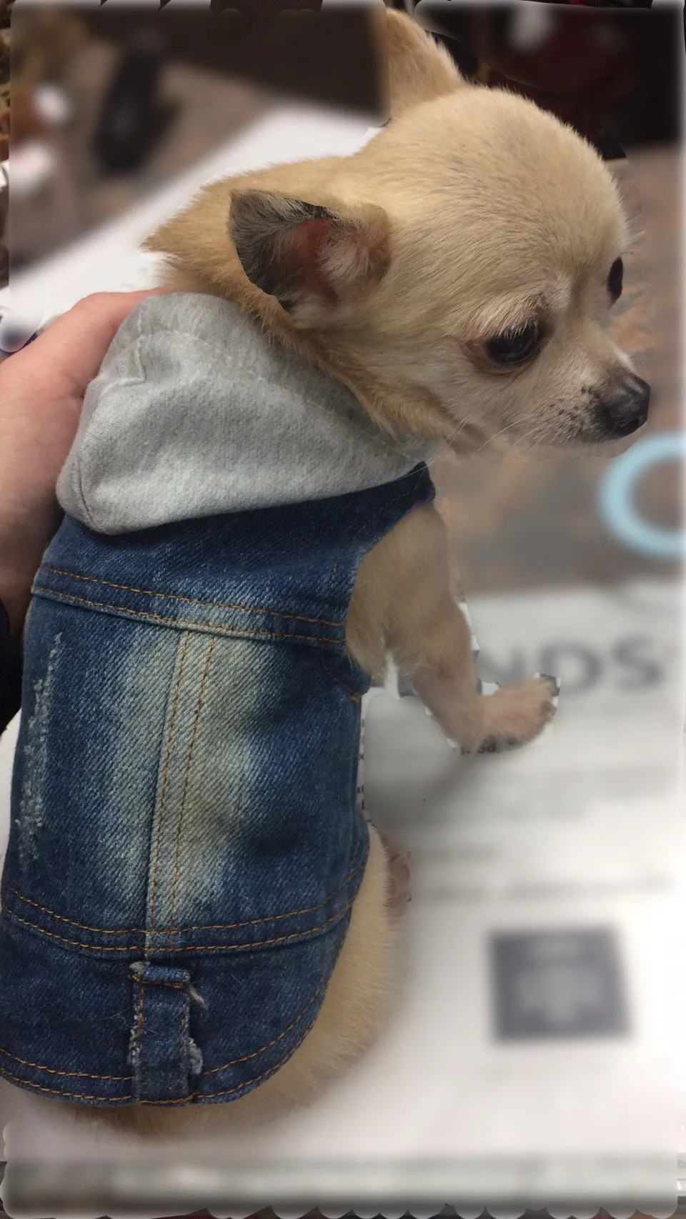 Classic Denim Vest with Hood